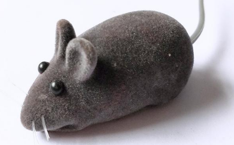 吊顶上有老鼠怎么解决,吊顶上有老鼠怎么驱赶图5