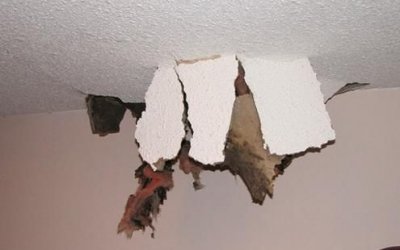 ​吊顶上有老鼠怎么解决,吊顶上有老鼠怎么驱赶