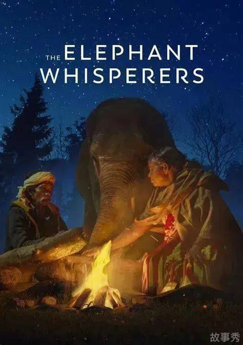 网络图片(侵删)