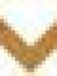 ​rfp是什么意思(临床试验rfp是什么意思)