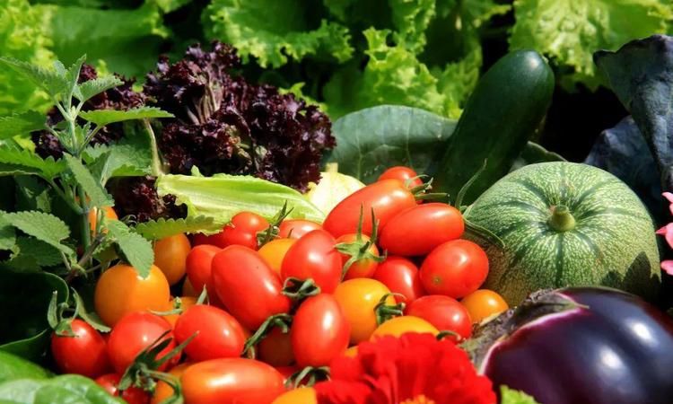 200g水果大概是多少个苹果