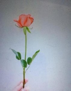 ​我喜欢上一个已婚大叔怎么办