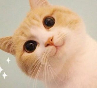 ​练周六野瘦腿的变粗了(小腿越练越粗)