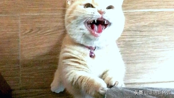 6级地震有多大威力（图文讲解6级地震的真正威力）