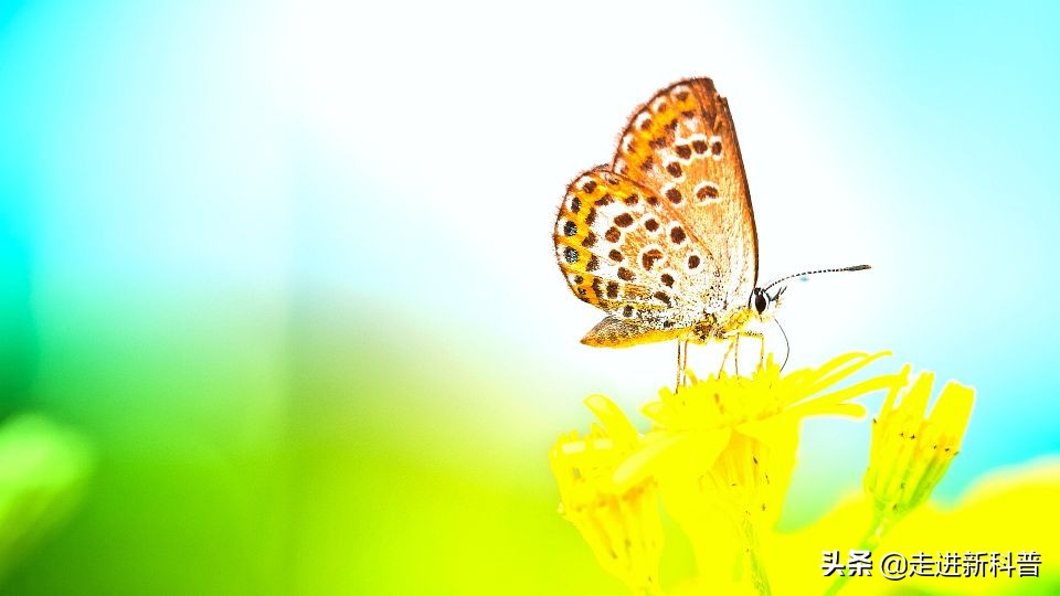6级地震有多大威力（图文讲解6级地震的真正威力）