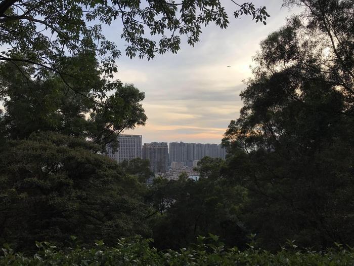 周末环跑铁仔山, 是西乡最大的公园, 被誉为