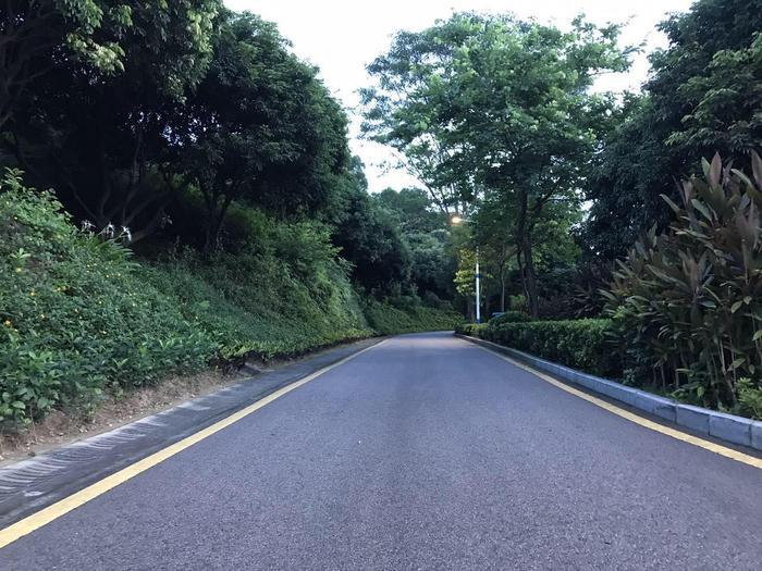 周末环跑铁仔山, 是西乡最大的公园, 被誉为