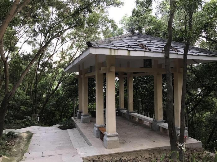 周末环跑铁仔山, 是西乡最大的公园, 被誉为