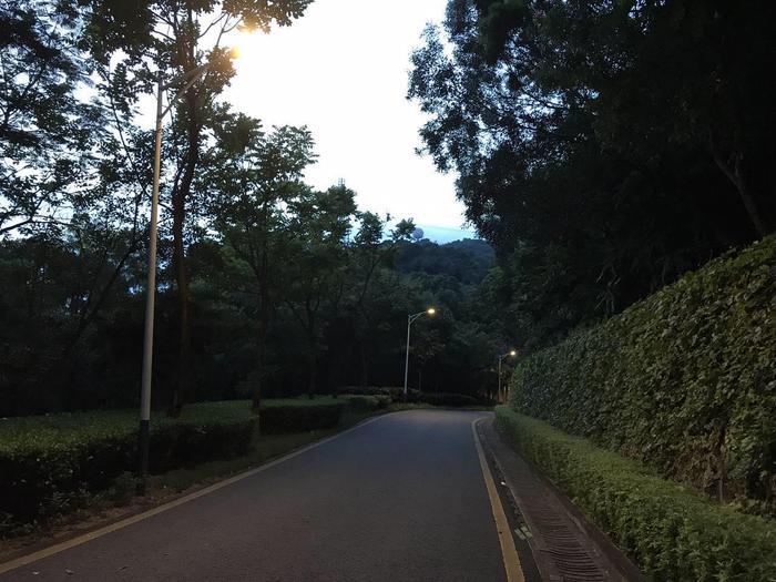 周末环跑铁仔山, 是西乡最大的公园, 被誉为