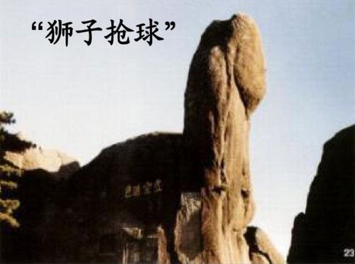 狮子抢球作文（有关狮子抢球作文）