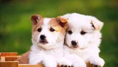 ​性在恋爱中有多重要(爱情的重要性)