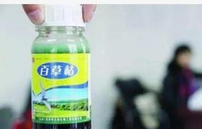 ​百草枯中毒是不是必死(百草枯中毒真的必死无疑吗?)