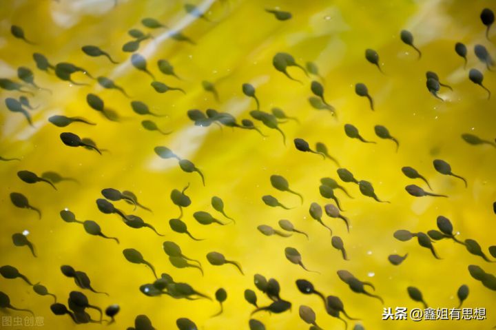 恰逢其时什么意思(所有的偶然加起来就是必然)