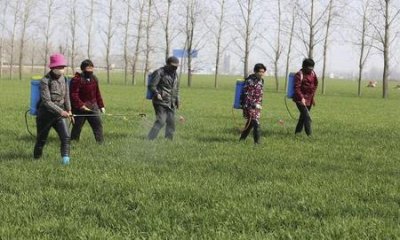 ​养猪,羊,牛哪种利润高(养鸡养猪养牛养羊哪个利润最大?)