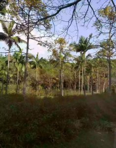 ​如果领导让你背黑锅你会怎么办