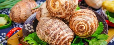 ​太仓可以带回家的特产 太仓特产可以带走的