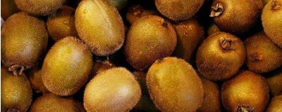 ​猕猴桃怎么长久保存 猕猴桃怎么可以保存时间久一些?