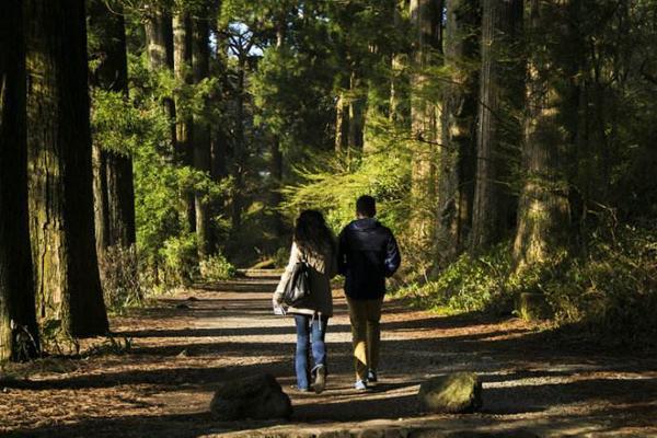 双鱼渣女冷落男人的表现