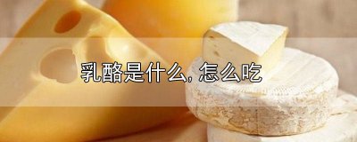 ​奶酪吃了有什么好处 奶酪吃了有什么好处和功效