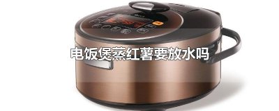 ​电饭煲蒸红薯要放水吗