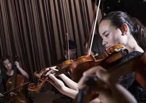 世界小提琴十大名曲排名(世界小提琴十大名曲是什么)-第1张图片-