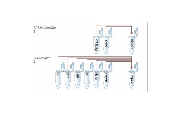 怎么套话让男人承认出轨的话（绝对有效）