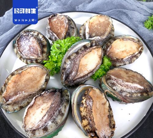 鲍鱼可以放在冰箱里冷冻吗