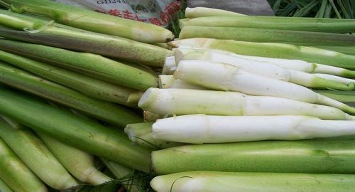 茭白是什么菜