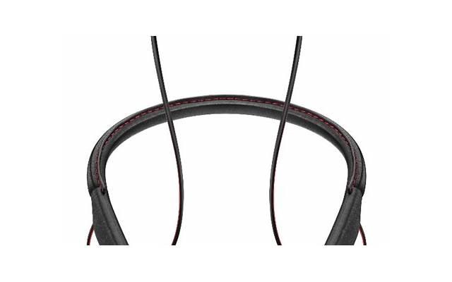 公司认缴资金离婚怎样分