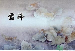 霜降为什么要吃柿子？霜降吃柿子有什么好处？