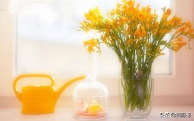 ​高晓松：半生倏忽而过，请学会与自己握手言和