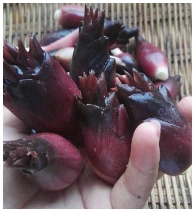 野生的“洋火姜”含有人体所需的营养，而且好吃的做法还不少！