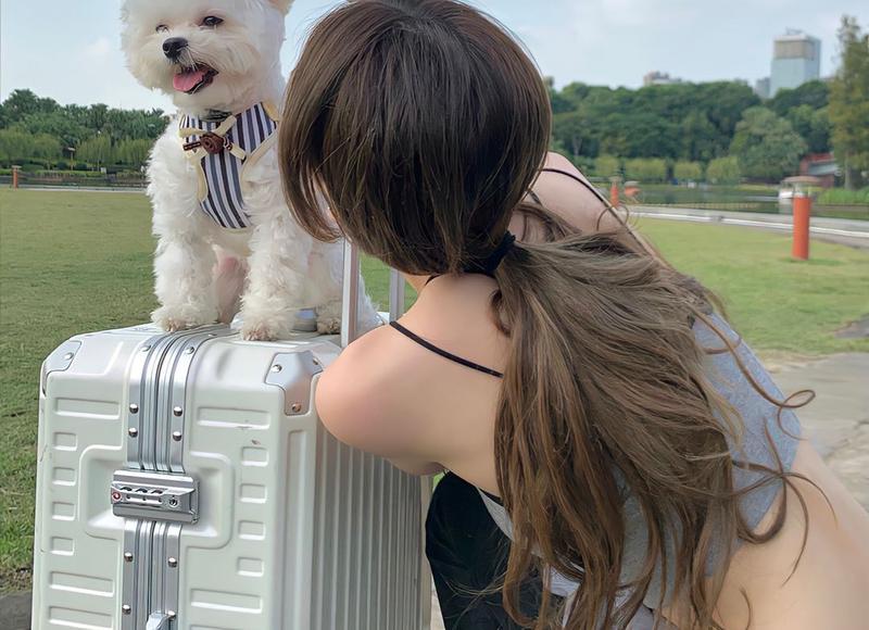 女孩说要用什么报答你？怎么机智回答