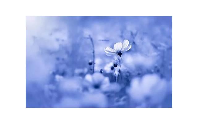 女神说你土味情话( 自私爱人°《LOVE的告白) 女神说你土味情话( 自私爱人°《LOVE的告白)