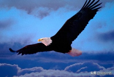 ​《论语·卫灵公》36:我们领悟“当仁不让”的意思吗？