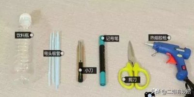 ​妙招 | 过年回家无法照顾花草怎么办？教你制作简单自动浇水器