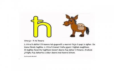 ​摩羯座：坚定的执着者