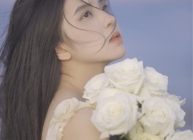 5大名贵树苗价钱，十大名贵树苗有哪些