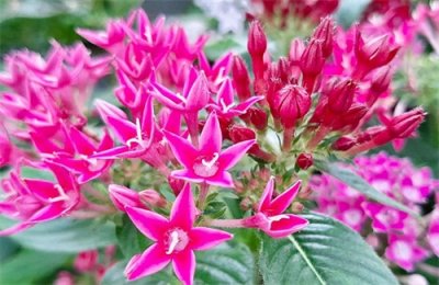 ​什么是道德？