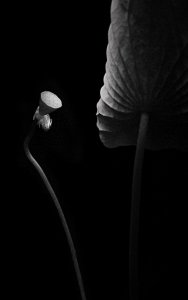 ​摄影圈的“三大俗”是什么，你拍过“几俗”？