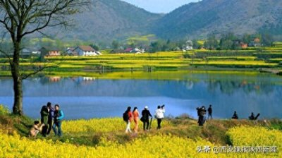 ​2019中国最美油菜花海汉中旅游文化节日主会场在哪？观花线路什么？