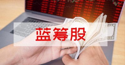 ​白马蓝筹股是什么意思？附大A股蓝筹股股票代码一览