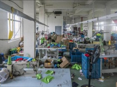 ​2024年，不进厂打螺丝，年后应该做什么工作，有什么好的建议？