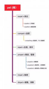 ​精讲研词24｜词根——pel
