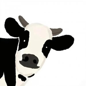 ​奇奇怪怪的情头 | 头像