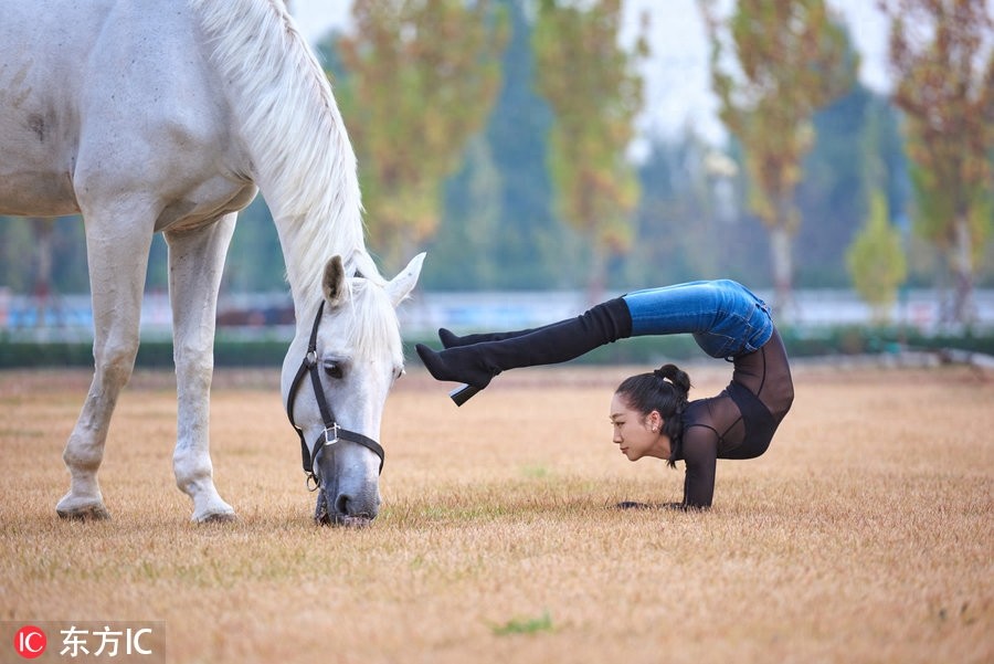 长得好看就算了，柔韧性也那么强！中国柔术女王刘藤马背秀劈叉