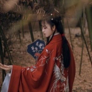 ​淡雅脱俗清冷孤傲古风网名女生韵味十足