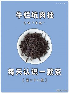 ​每天认识一款茶，第二十八期，牛栏坑肉桂