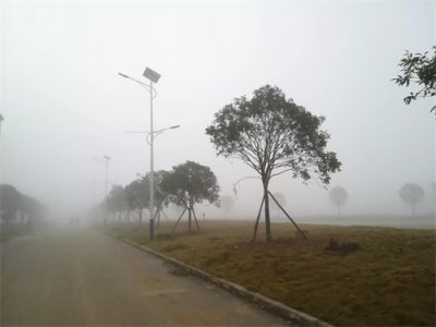 ​韩国名字的中文翻译错误。