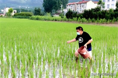 ​辛菌胺醋酸盐能与叶面肥混用吗